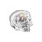 Still life skull ljuslykta silver 85mm