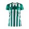 PROGRESS 2.0 STRIPE JERSEY W TEAM GREEN/WHITE PROGRESS 2.0 STRIPE JERSEY W TEAM GREEN/WHITE