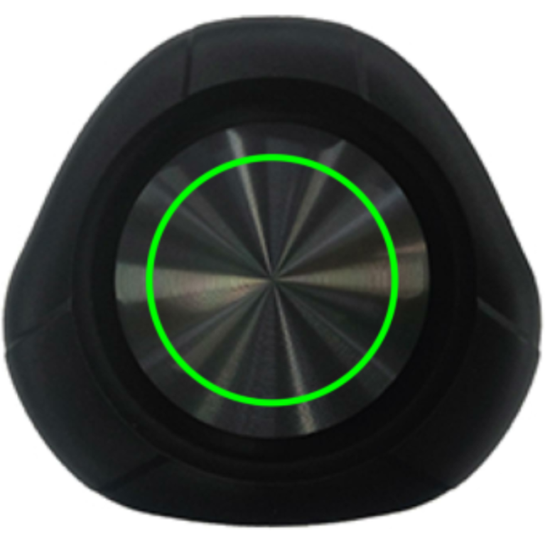 Urban Vitamin Berkeley IPX7 trådlös 10W högtalare