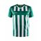 PROGRESS 2.0 STRIPE JERSEY M TEAM GREEN/WHITE PROGRESS 2.0 STRIPE JERSEY M TEAM GREEN/WHITE