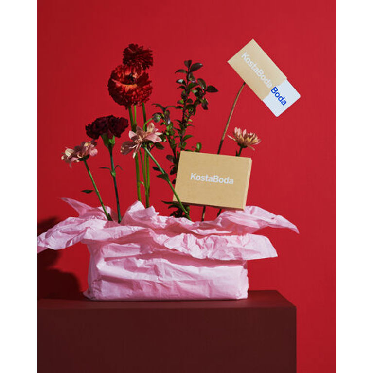 Kosta Boda Gåvokort 440