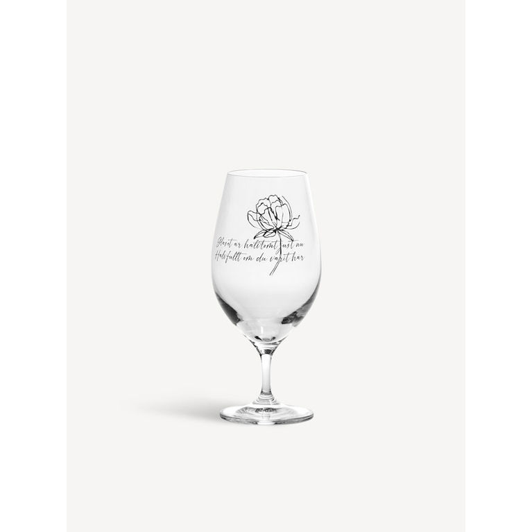 Don't stop the music ölglas 40cl 6-pack