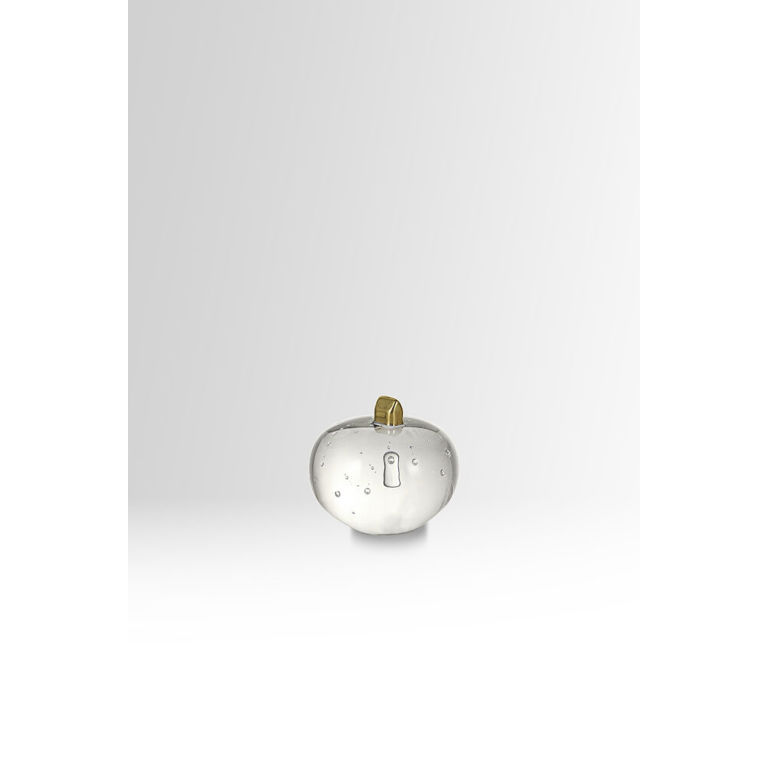 Earth On Top Mini, BV AC-21