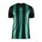 PROGRESS JERSEY STRIPE M BLACK/TEAM GREEN PROGRESS JERSEY STRIPE M BLACK/TEAM GREEN