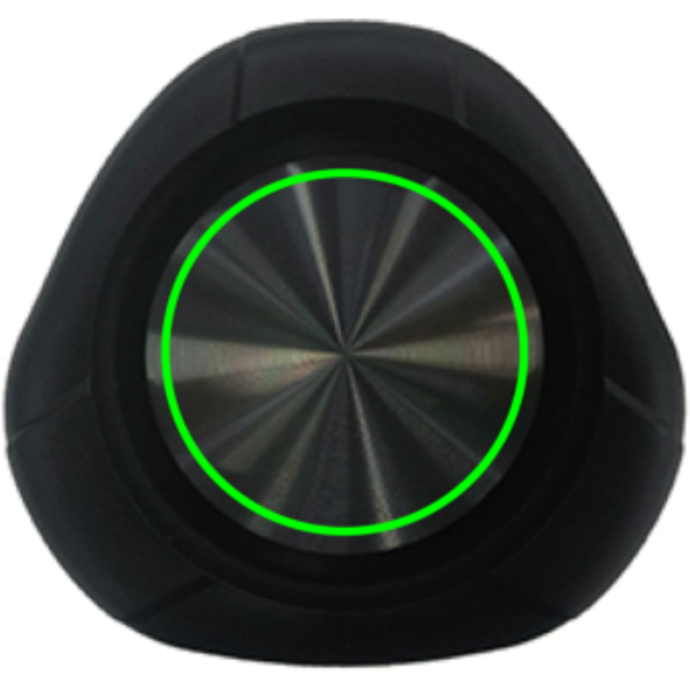 Urban Vitamin Berkeley IPX7 trådlös 10W högtalare