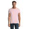 CRUSADER MEN Pale Pink