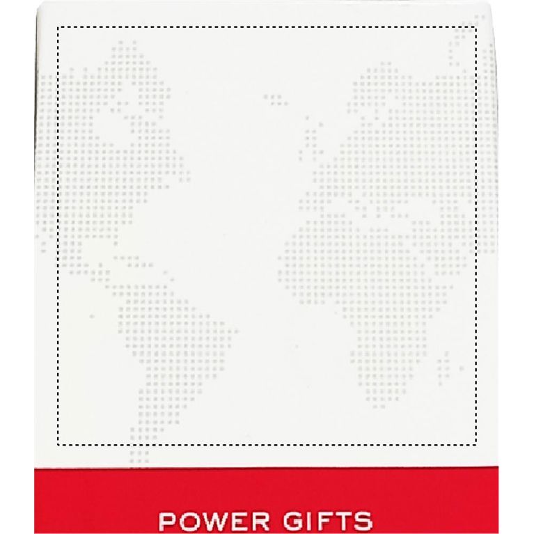 EURO USB CHARGER 2XA