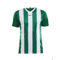 PROGRESS JERSEY STRIPE M TEAM GREEN PROGRESS JERSEY STRIPE M TEAM GREEN