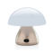 Luming USB uppladdningsbar bordslampa RCS plast brons Luming USB uppladdningsbar bordslampa RCS plast brons